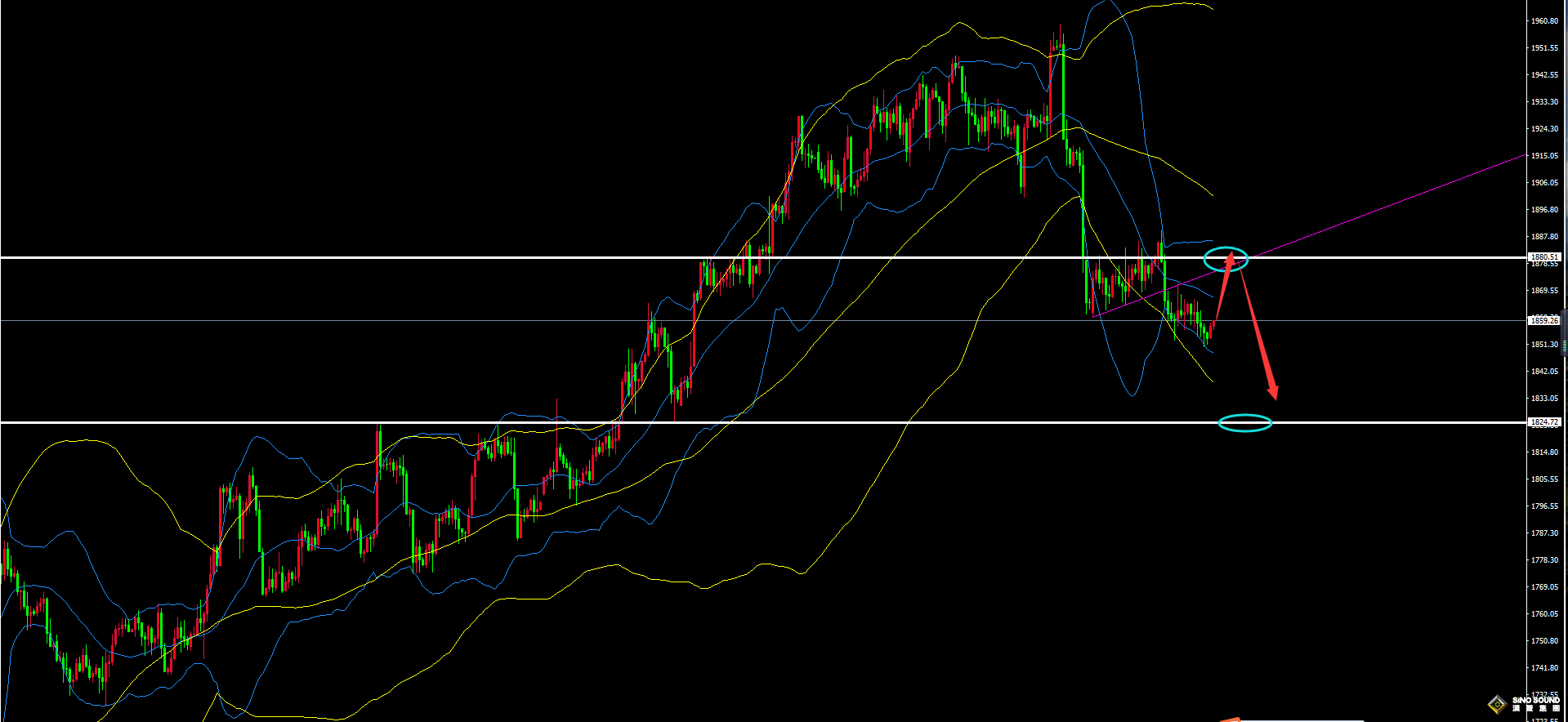 劉建偉：黃金震盪等待CPI
