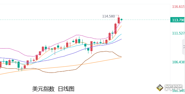 张尧浠：美元强势仍在继续、全球市场动荡黄金引领下跌