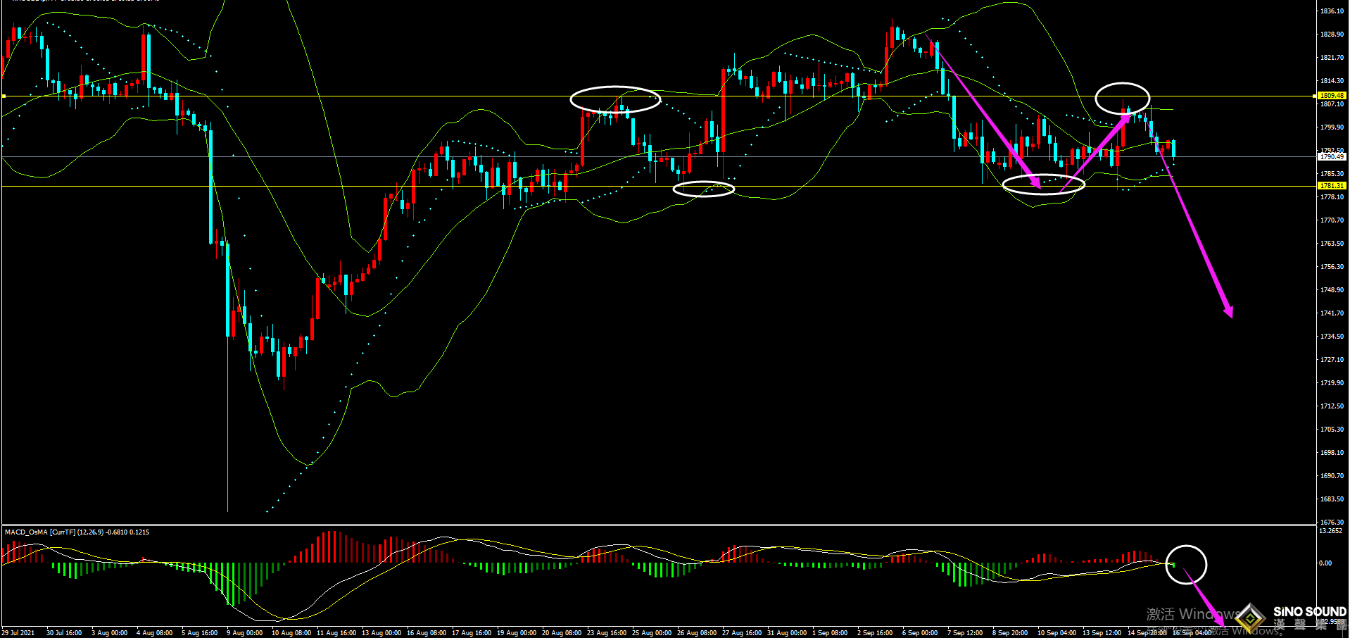 劉建偉:黃金整體仍看震蕩下跌