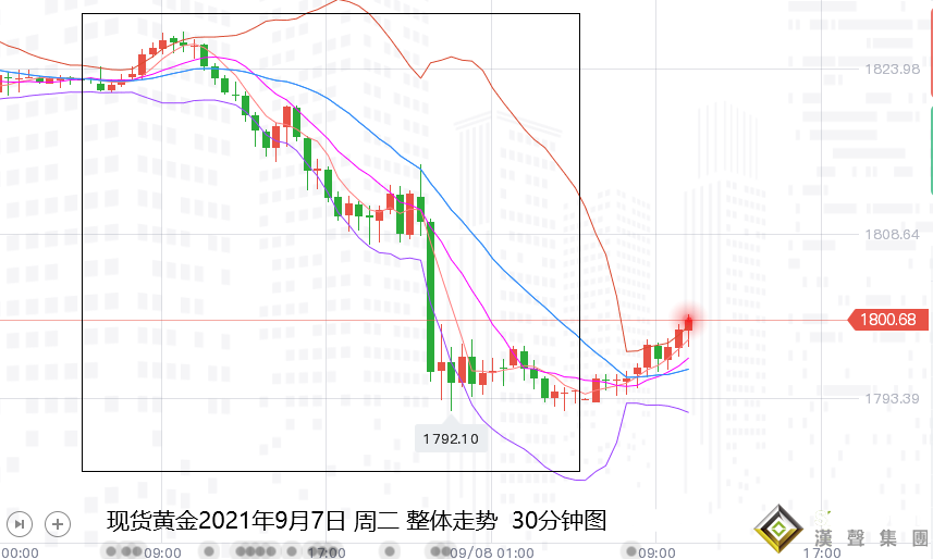 張堯浠：雙美動力減弱仍有漲、黃金跌后關注反彈需求再空