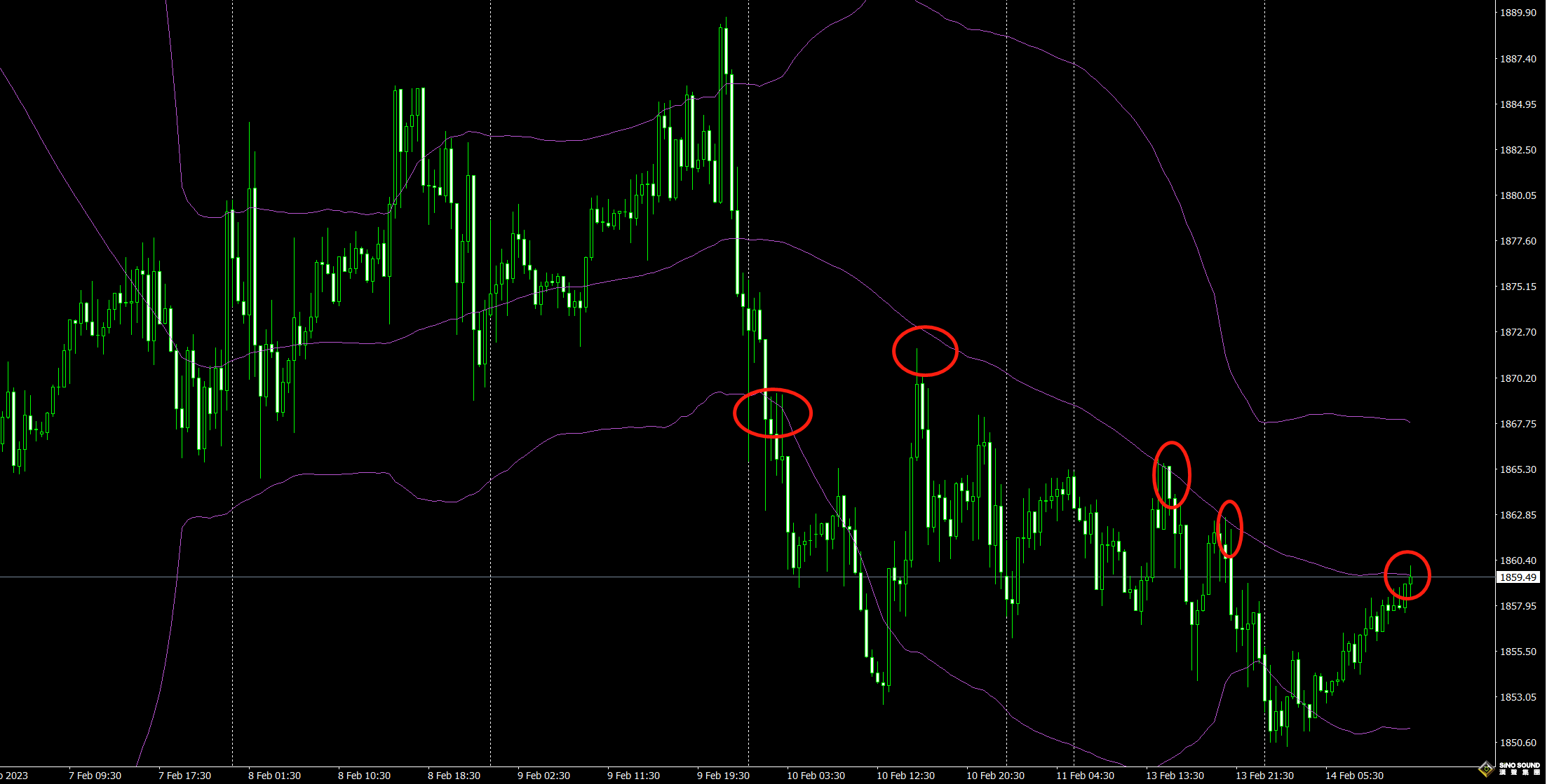 張明藝：黃金繼續承壓做空！