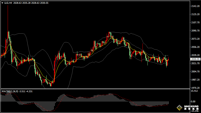漢聲張新才:[1月12日早評]昨晚美國CPI數據令市場巨震，國際金價大跌後轉漲