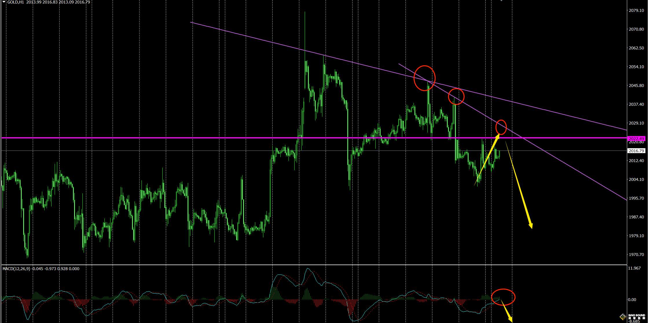 劉建偉：黃金有望築頂震盪下跌