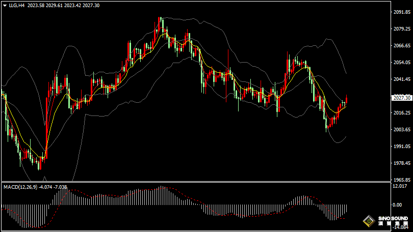 漢聲張新才:[1月19日晚評]日內金價反彈逼近2030關口，晚間行情或受數據影響波動