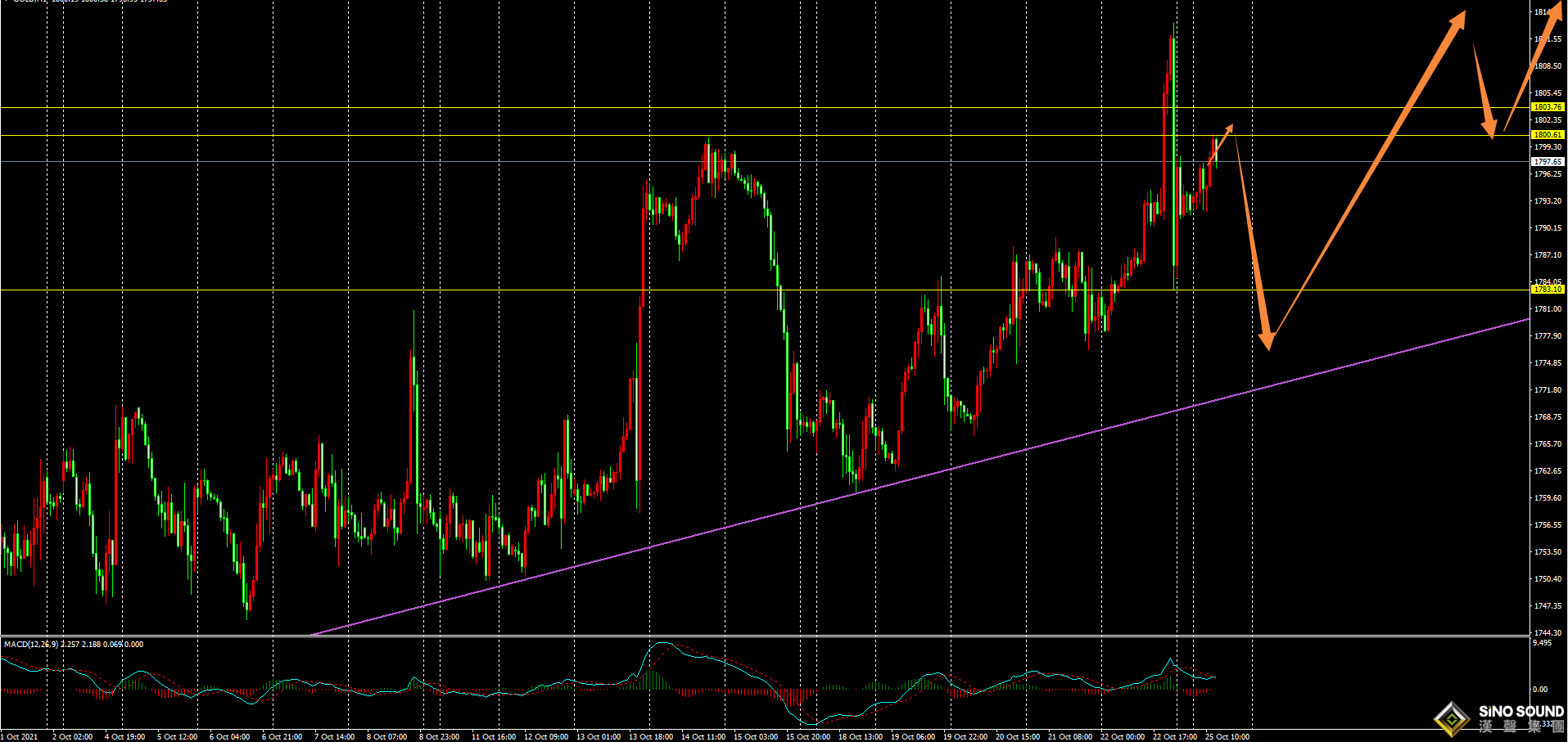 劉建偉:黃金震盪上漲