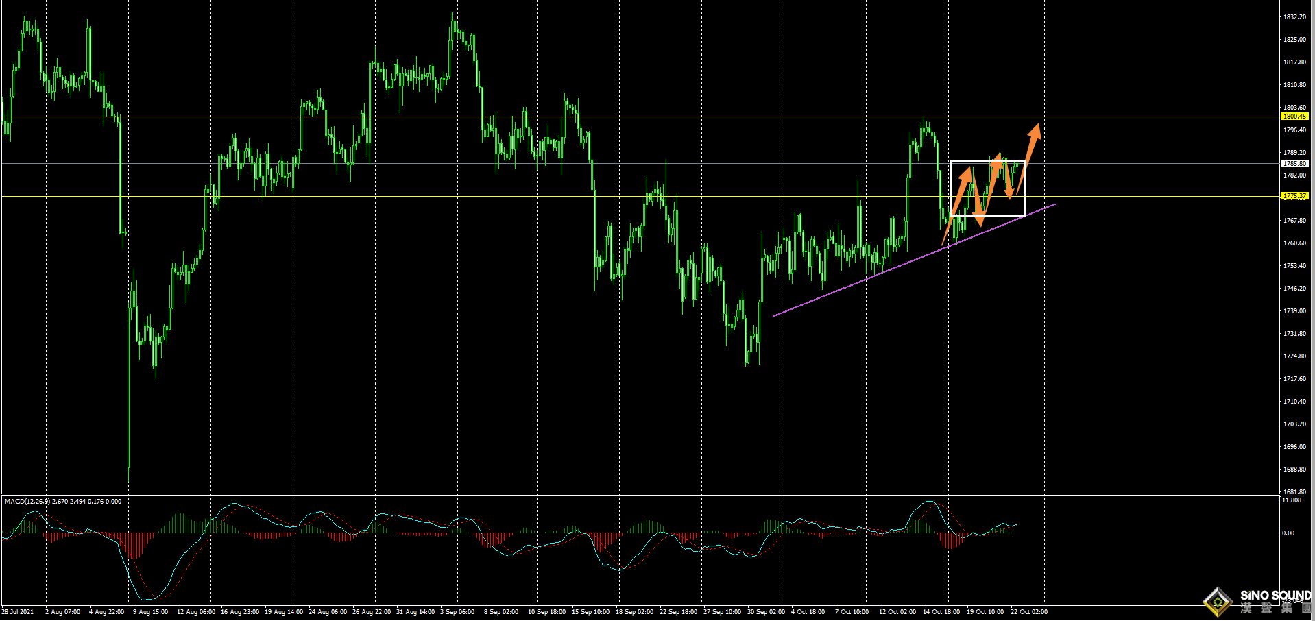 劉建偉:黃金高位盤整待突破