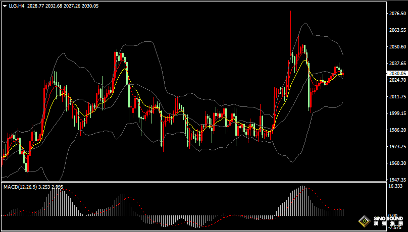 漢聲張新才:[5月10日晚評]關注晚間美國CPI數據影響，估計市場將會出現劇烈波動