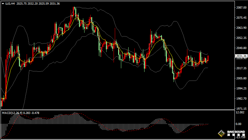 漢聲張新才:[1月24日晚評]關注晚間重要數據影響，金價窄幅盤整謀求突破