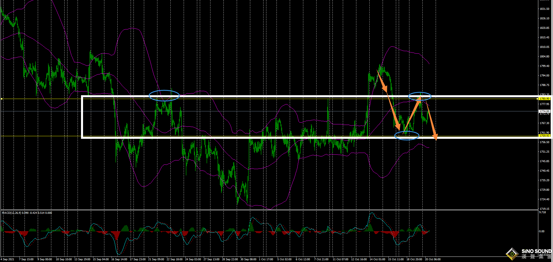 劉建偉:黃金仍舊區間震蕩
